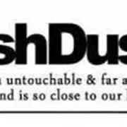 ashDust | 「上新」 探寻早夏的多元秘密