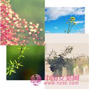 Rhema：春风十里 不如你Rhema