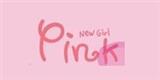 奇鼎服饰有限公司(中国)pink品牌中国营销总部
