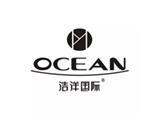 深圳市领航浩洋国际服饰有限公司