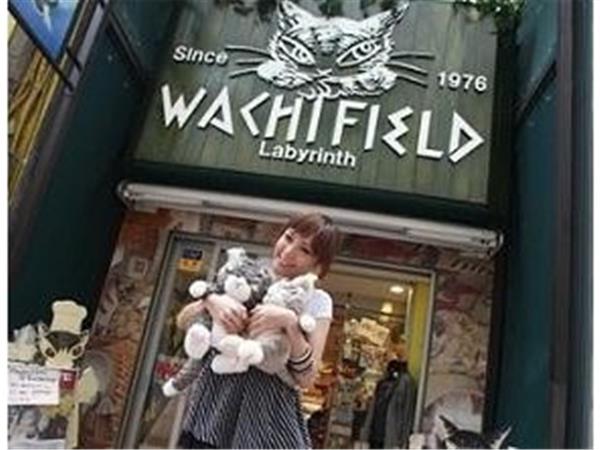 瓦奇菲尔女装店铺展示