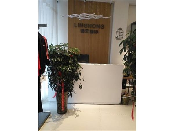 领宏国际女装店铺展示