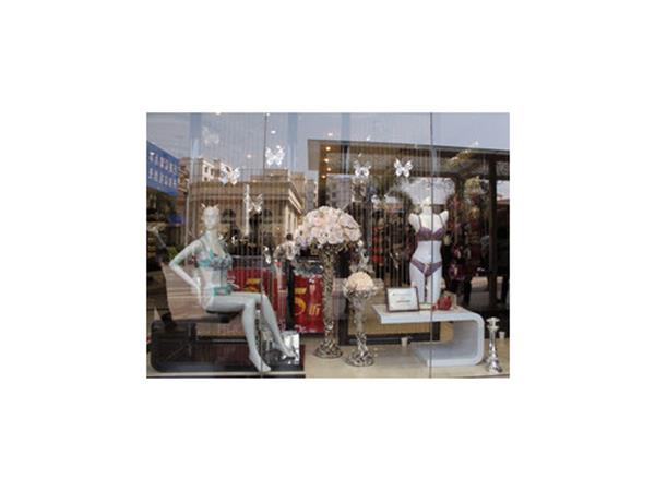 莎莲妮女装店铺展示