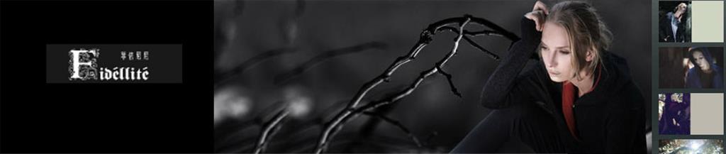 菲依尼尼女装品牌