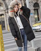 欧迪玛女装产品图片