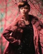 迪斯廷.凯女装产品图片