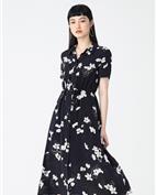 XII BASKET女装产品图片