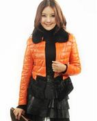 noveli女装产品图片