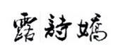 嘉兴露诗娇服饰有限公司
