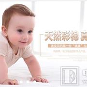 尚芭蒂童装 专注高品质婴幼儿产品