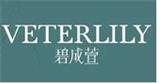 VETERLILY碧成萱女装