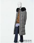 卓可ZOOC女装产品图片