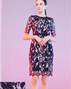 Mervyns 摩雯思女装产品图片