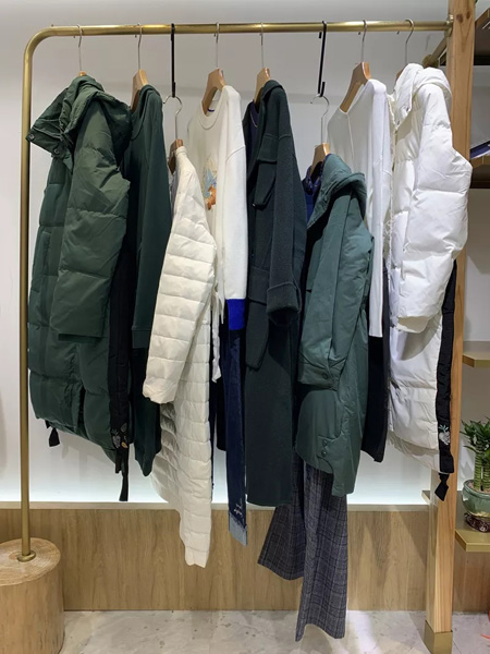 (图1)