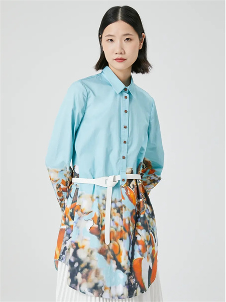 (图1)