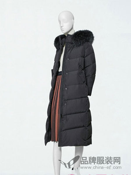 卓可ZOOC女装产品图片